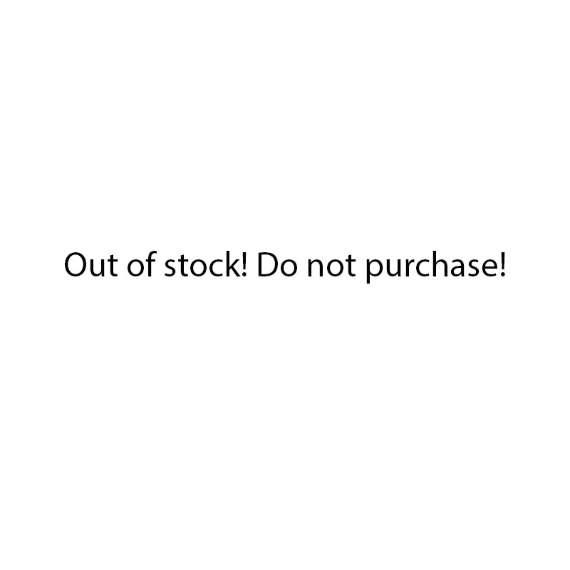 Model Kit Kamen Rider - Out of stock! Do not purchase!