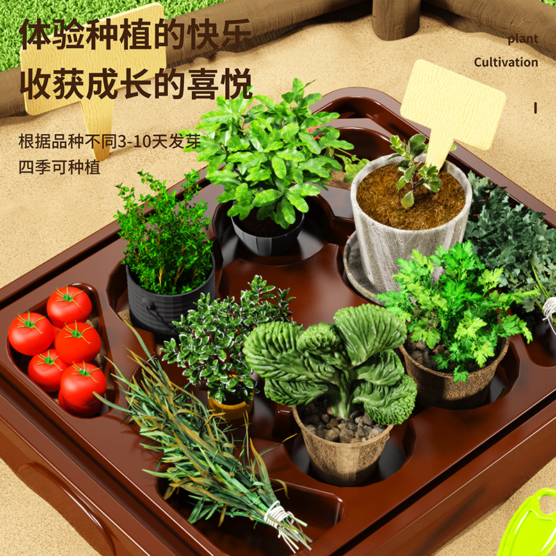 Growing Green House Diy Plant  – Model Kit Tool recenzja i cena
