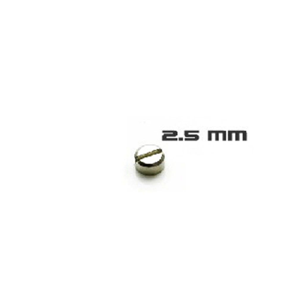 30pcs Armored Screws Model Sup – Model Kit Gundam Mg recenzja i cena